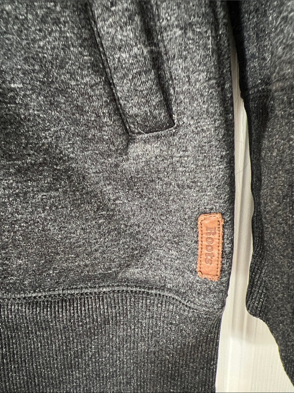 Roots Sherpa-Lined Hooded Jacket in Light Gray - Picture 3 of 5